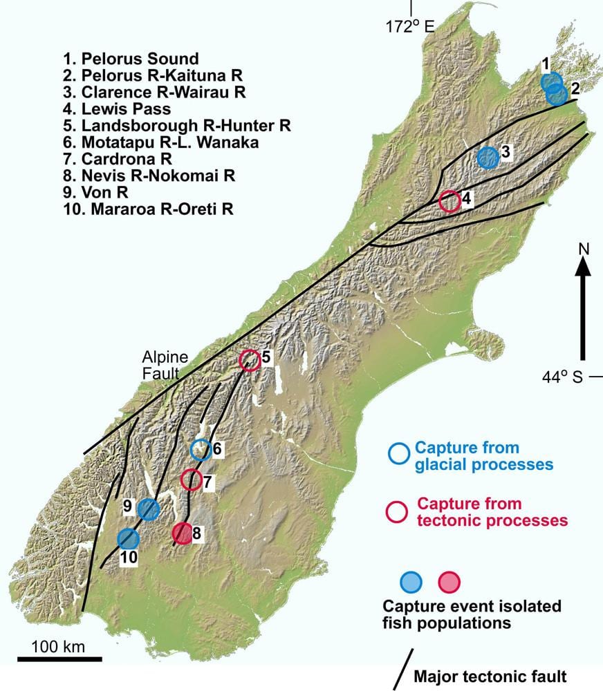 Mappa della gola del fiume, nuova zelanda
