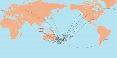 Air new zealand mappa del percorso internazionale