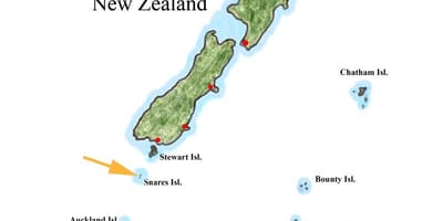 La mappa della nuova zelanda e le isole circostanti