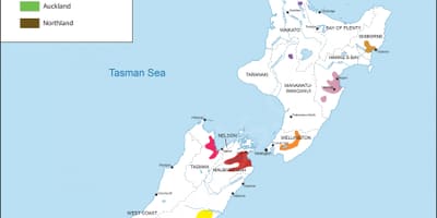 Nuova zelanda regioni del vino sulla mappa